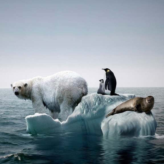 Klimatickou úzkostí trpí spíše dívky než chlapci, ukázal průzkum