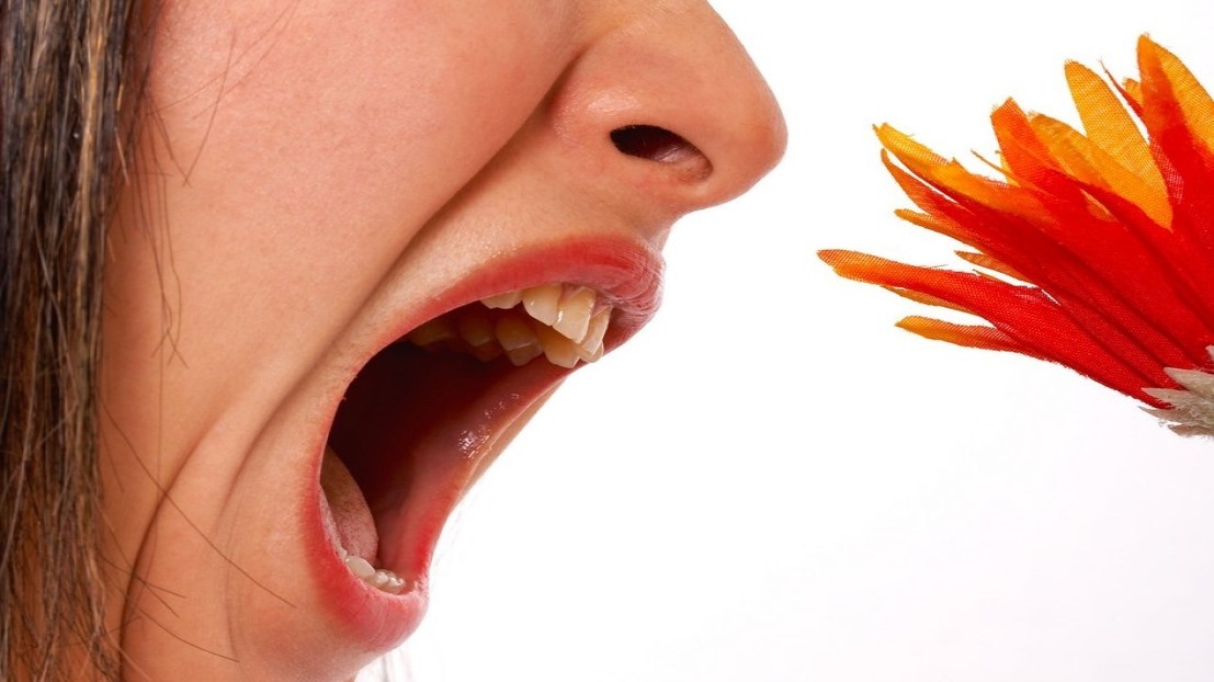 Alergikům nastávají těžké časy. Změna klimatu prodlužuje pylovou sezónu