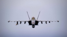 GROWLER