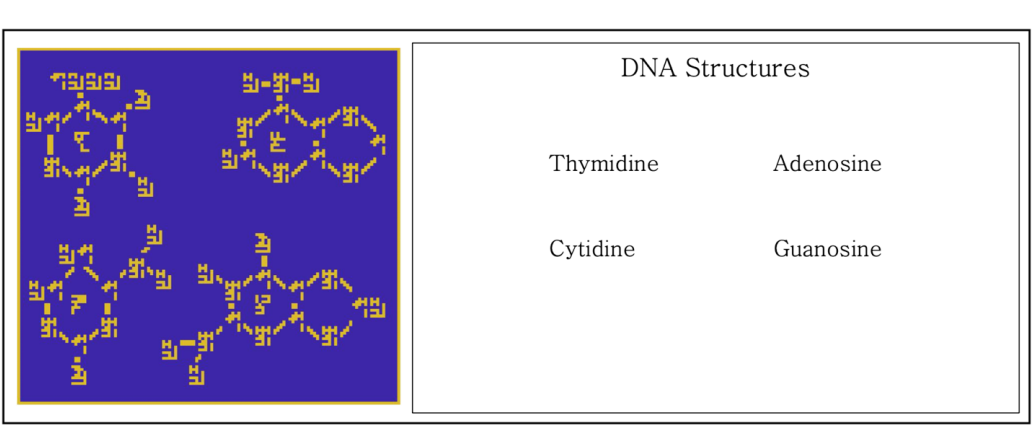 DNA-STRUCTURES