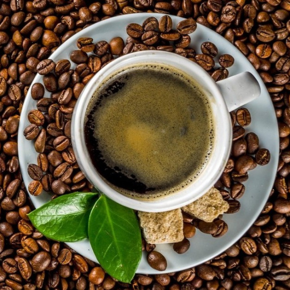 Tajemství dobré kávy se skrývá ve včelách a ptácích