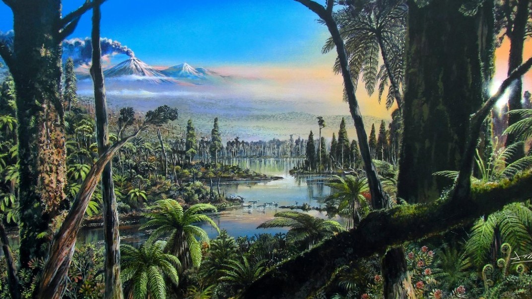 Antarktidu pokrýval deštný prales. Kdy se tam vrátí?