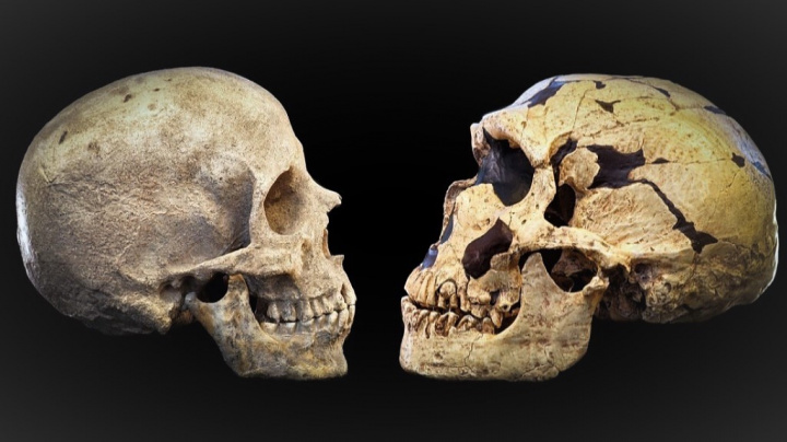 Neandertálci a Homo sapiens spolu válčili 100 tisíc let