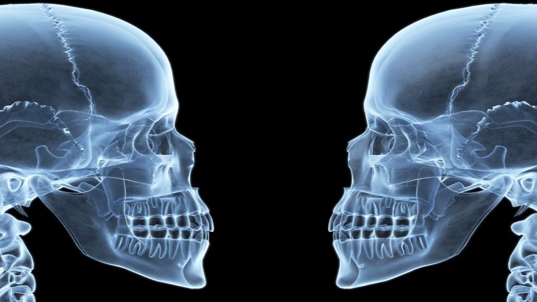 V kostech a zubech lidí vězí zbytky umírajících hvězd