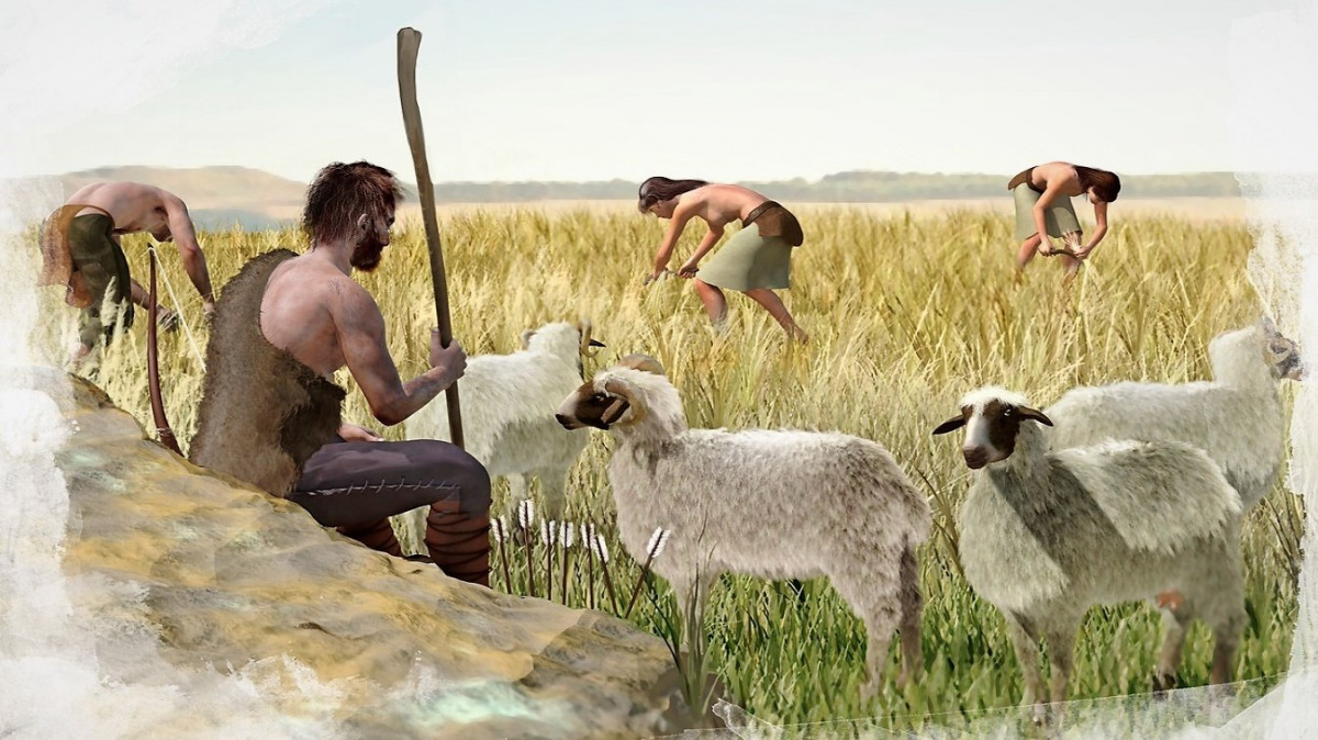 Naše civilizace se zrodila z obilí a daní, zjistili ekonomové