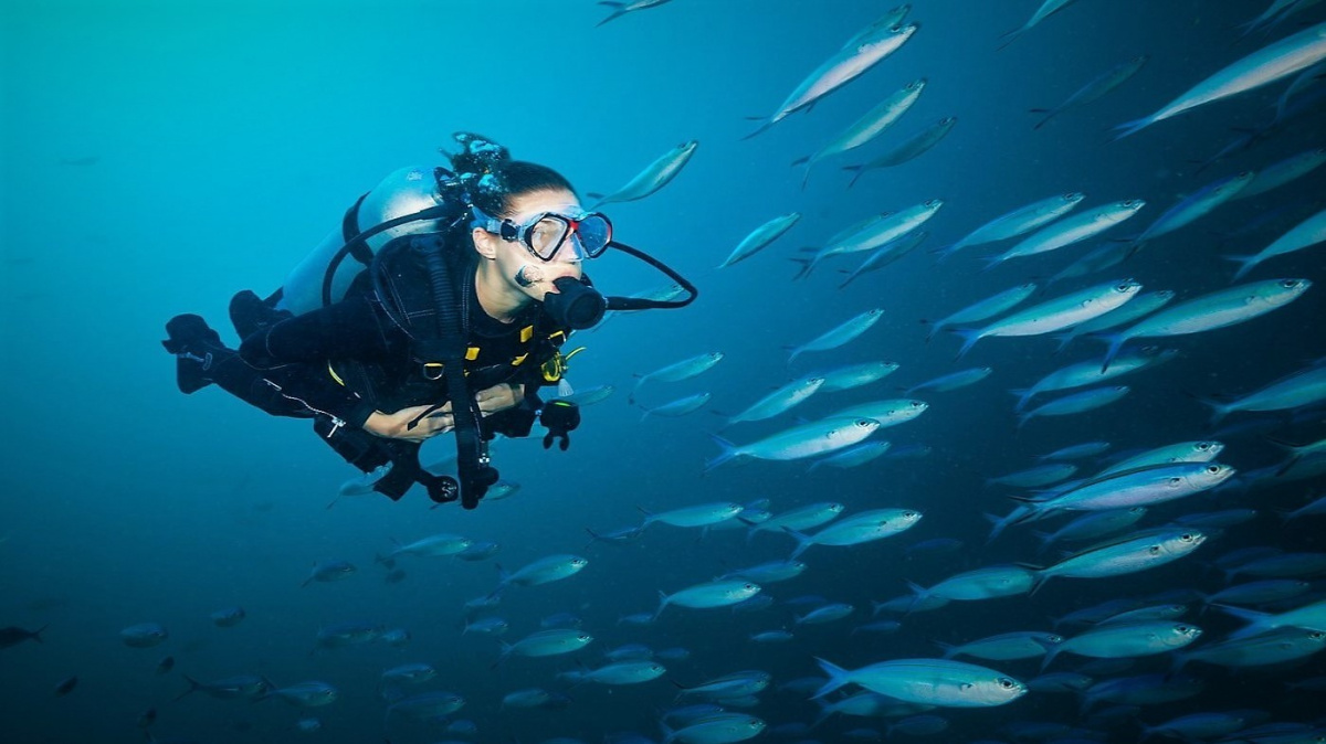 Na sever a na jih – živočichové táhnou pryč od horkého rovníku. A co lidé?