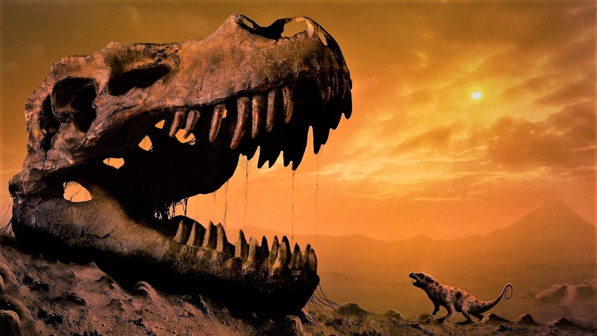 Nový život po dinosaurech se rodil stovky tisíc let