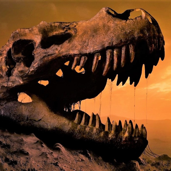 Nový život po dinosaurech se rodil stovky tisíc let