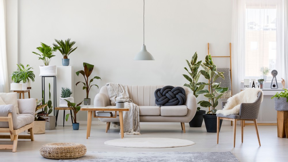 Trend pokojovek: Odkud se vzal?