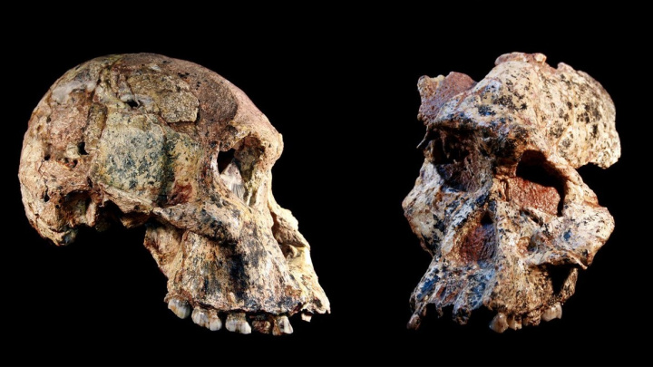 Fosilie z kolébky lidstva mohou přepsat historii naší evoluce