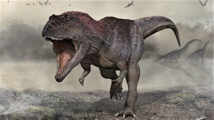 Tento dinosaurus se žraločími zuby děsil svět před zrodem Tyranosaura rexe