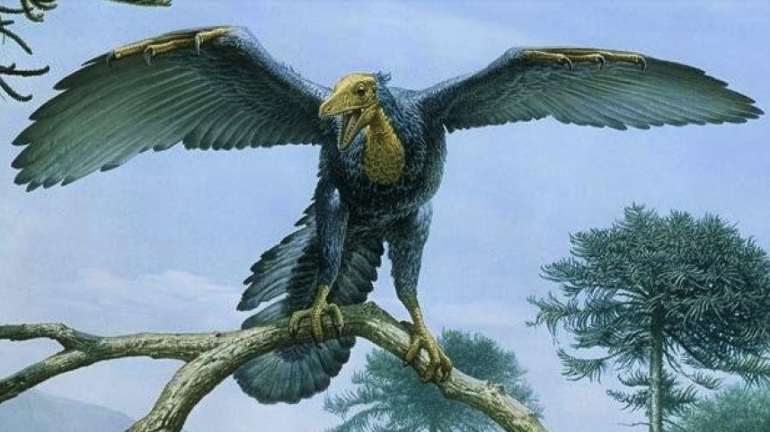 Tento opeřený dinosaurus šplhal po stromech a létal