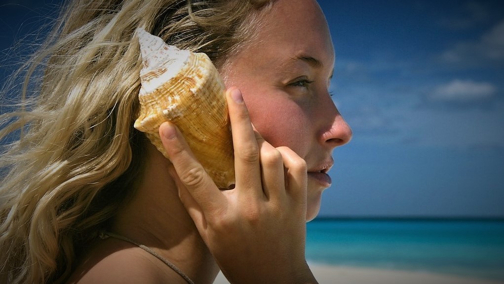 Proč zní mušle jako oceán?