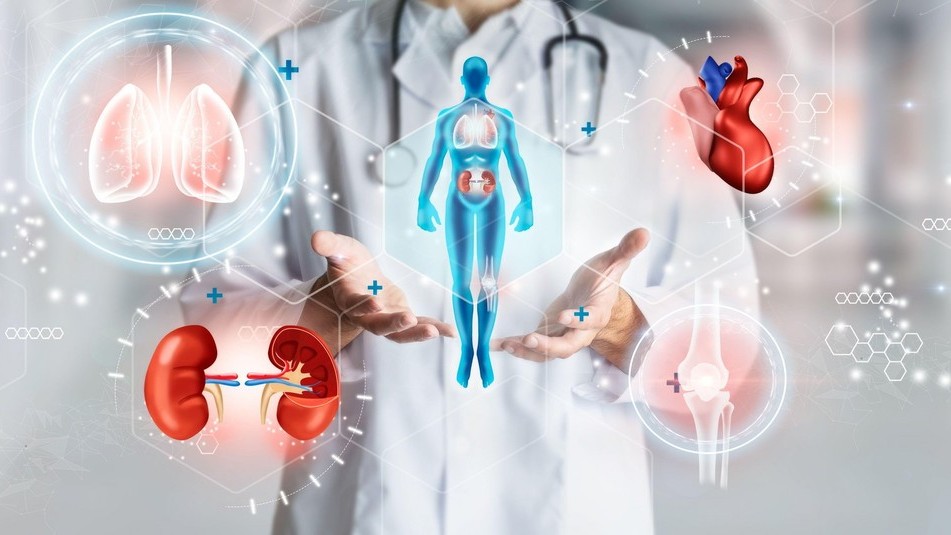 První pokus vypěstovat dárcovské orgány v těle pacienta. Zahájí ho vizionáři z LyGenesis