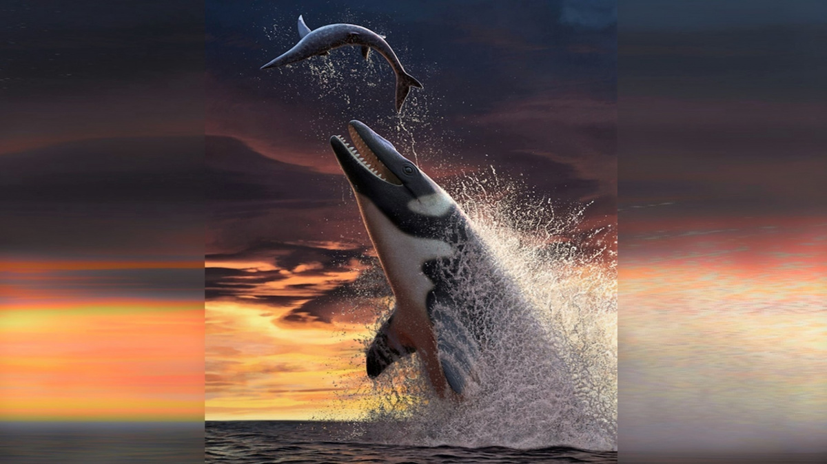 Nemilosrdný titán, který vládl mořím za soumraku dinosaurů