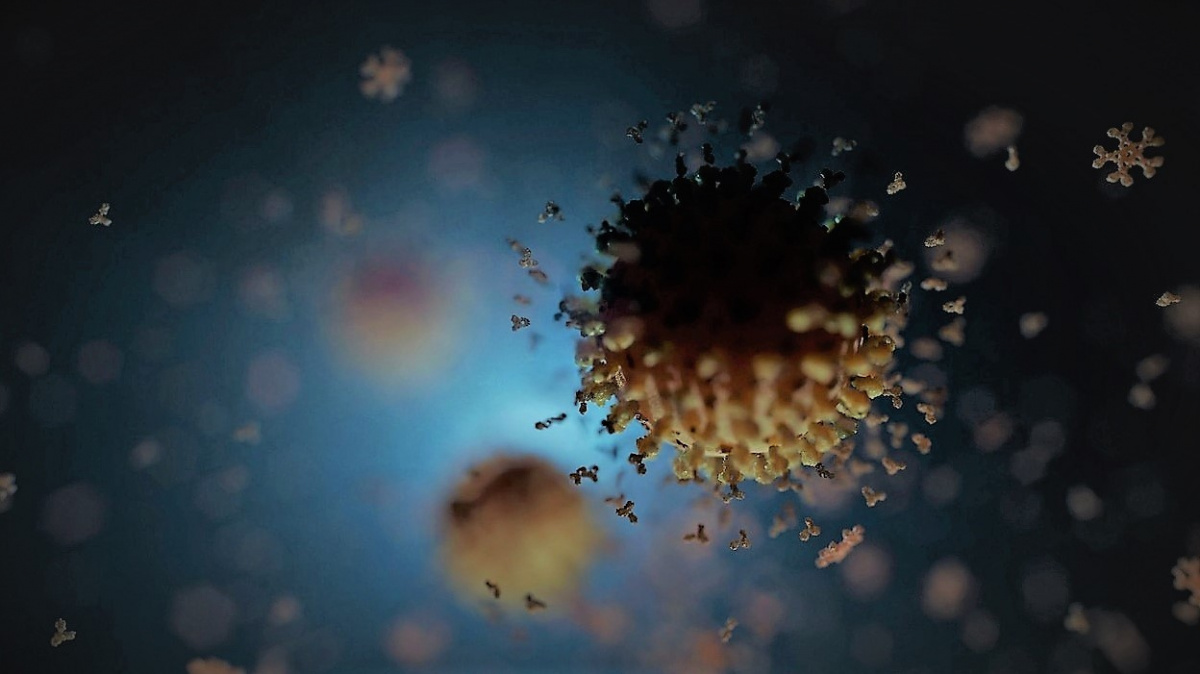 Nalezeny protilátky proti všem variantám covidu. Budou posilovací dávky zbytečné?