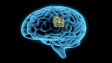 Mozková ‚protéza‘ může zlepšit naši paměť