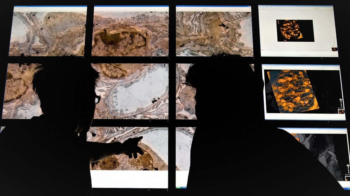 Klikací chemie dělá ‚zázraky‘. Trojici vědců vynesla Nobelovu cenu