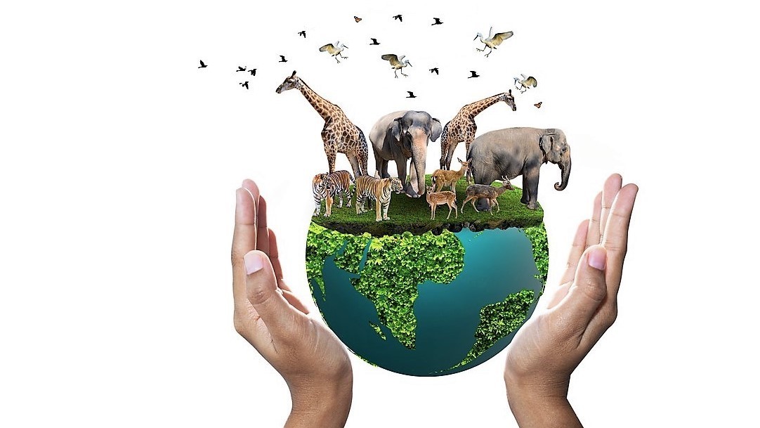 Příroda se rozpadá. Za půlstoletí zmizely dvě třetiny volně žijících živočichů