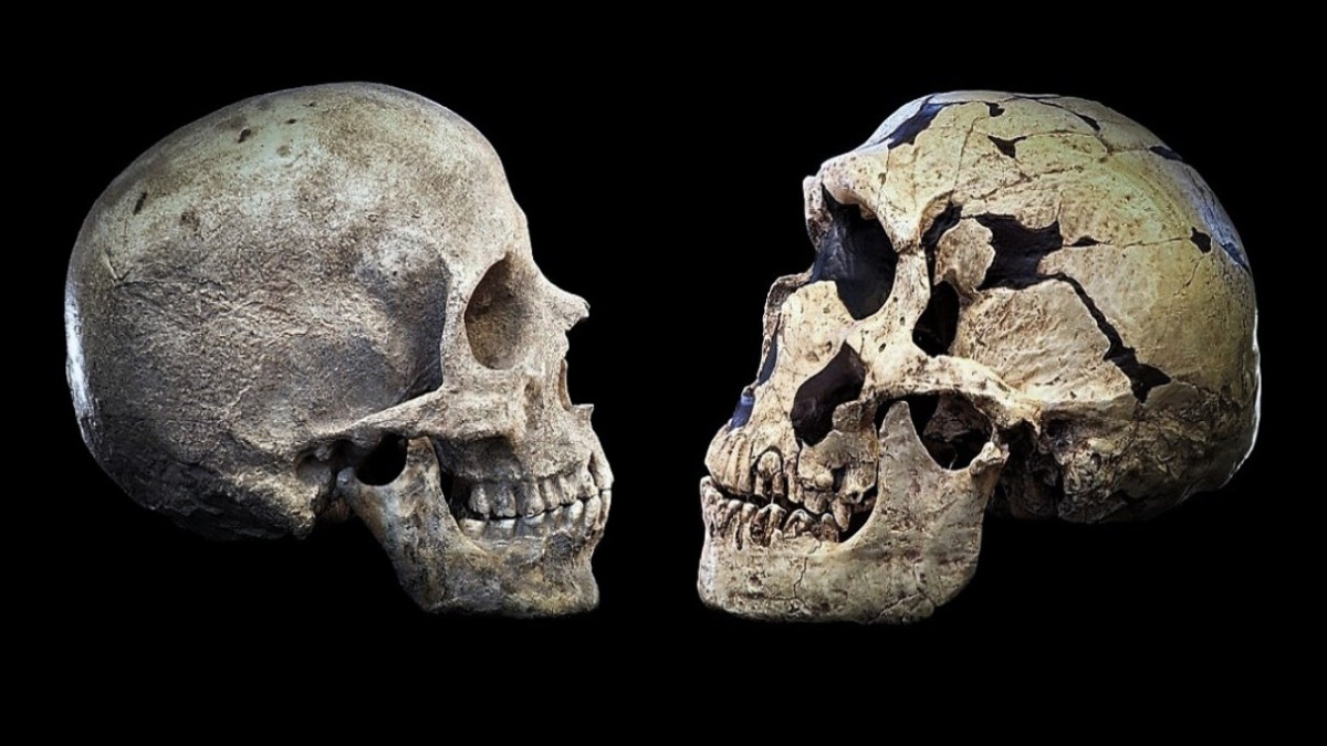 Moderní lidé a neandertálci žili tisíce let bok po boku. Křížili se a sdíleli kulturu