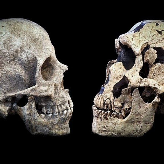 Moderní lidé a neandertálci žili tisíce let bok po boku. Křížili se a sdíleli kulturu