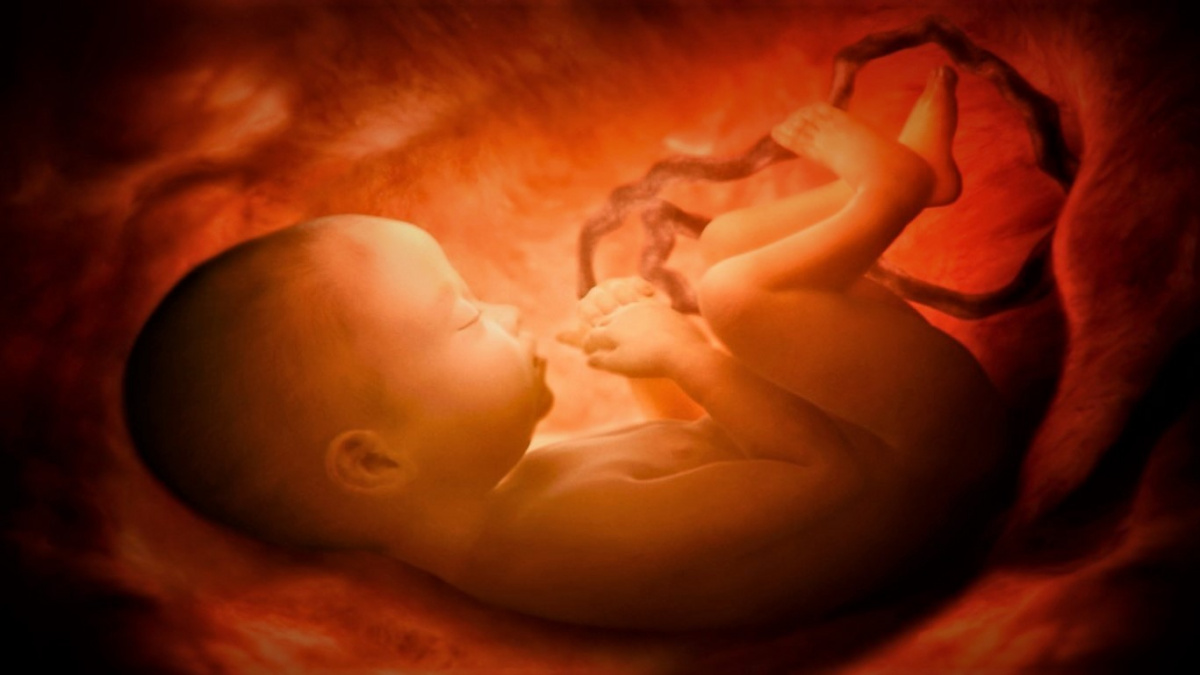 Dítě v děloze cítí světlo a naslouchá. Vědci vysvětlují jak