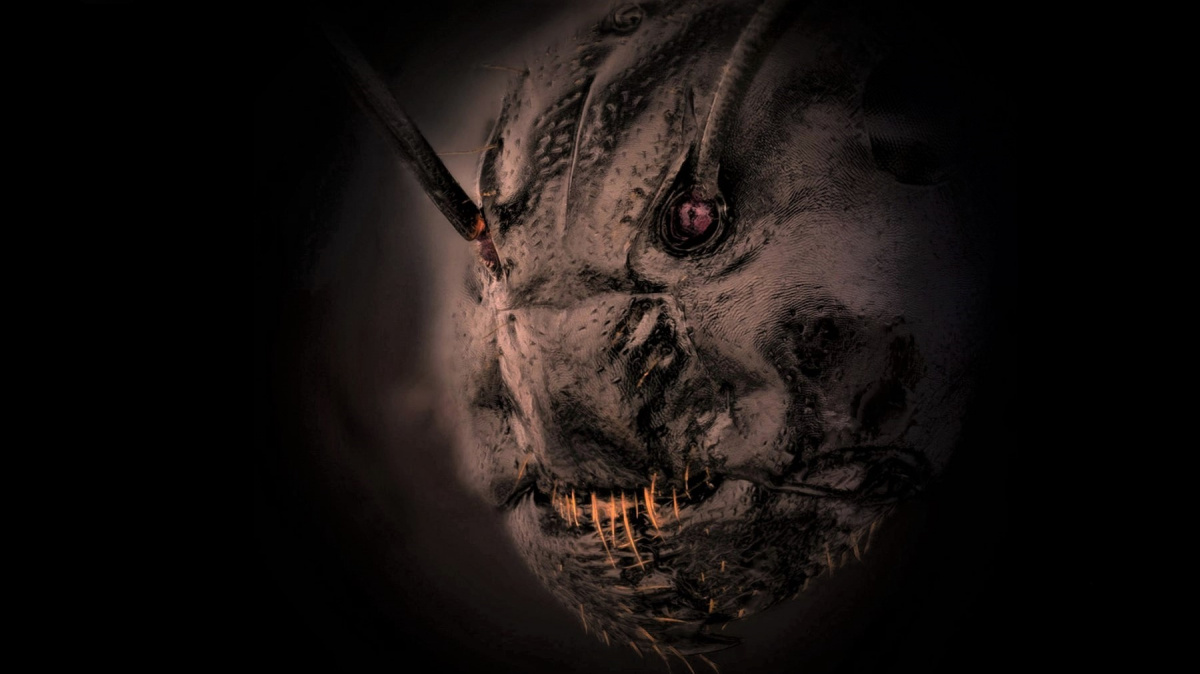 Mravenec, jak jste ho ještě neviděli. Děsivější než skřet ze Středozemě