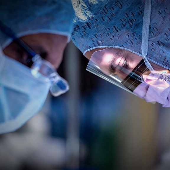 Velký krok pro vědu? Lékaři poprvé transplantovali muži prasečí plíce