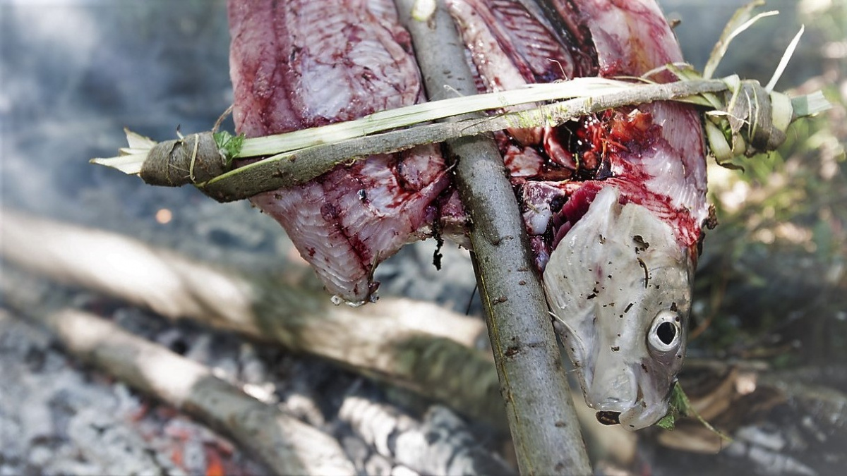 Evoluční zlom: Pralidé si opékali ryby už před 780 tisíci lety