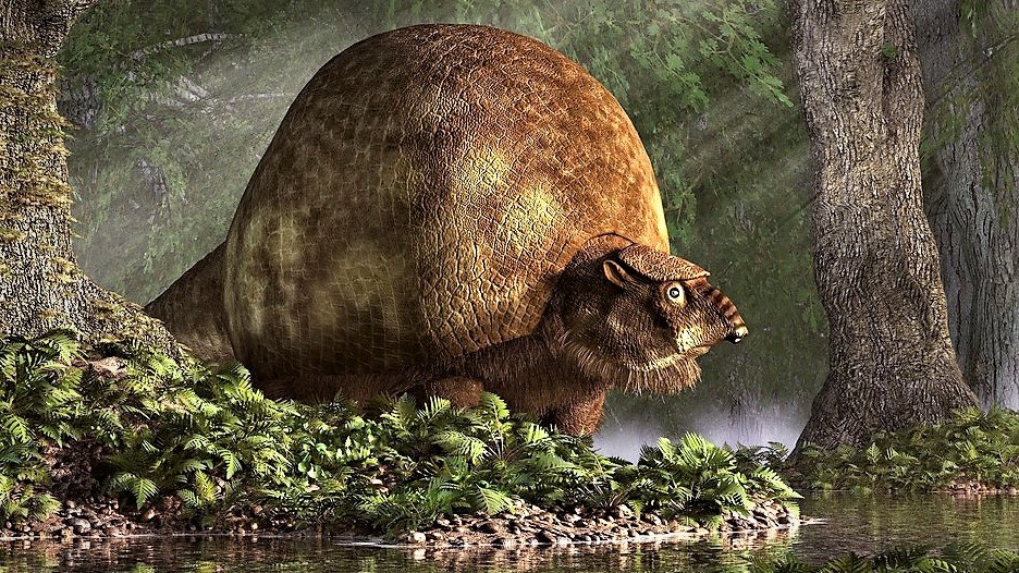 Na Zemi bez lidí by vládli velcí savci. Některé z nich jsme už vyhubili