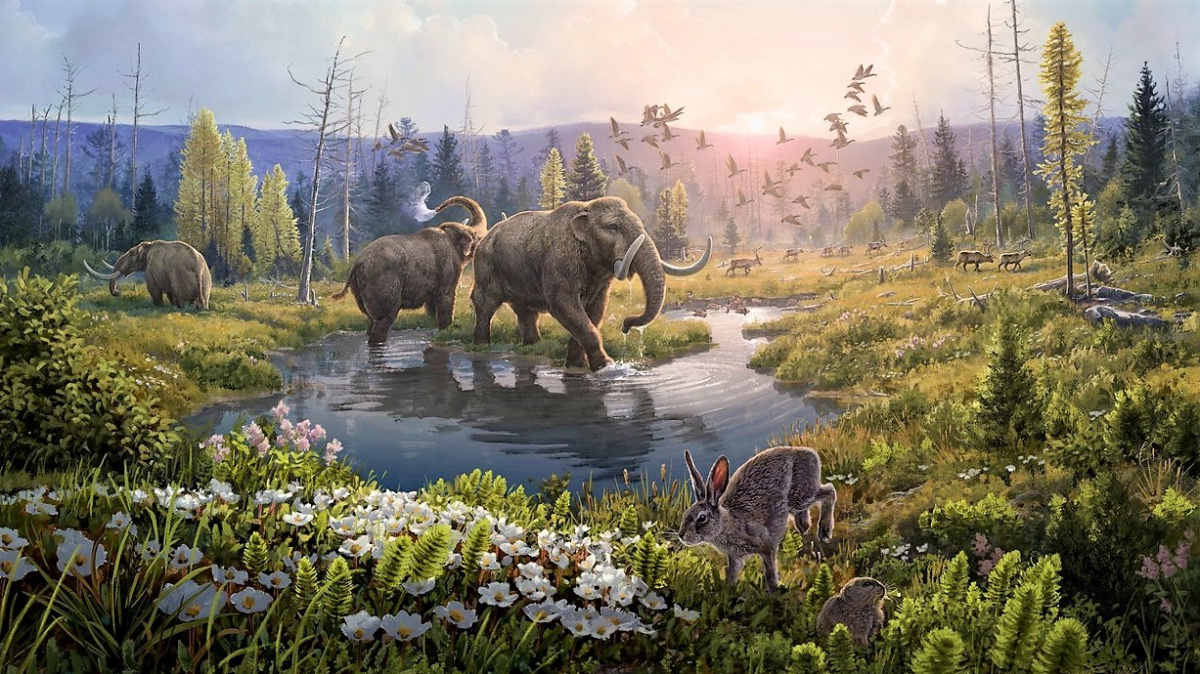 Z nejstarší DNA na světě vytvořili vědci obraz krajiny staré dva miliony let