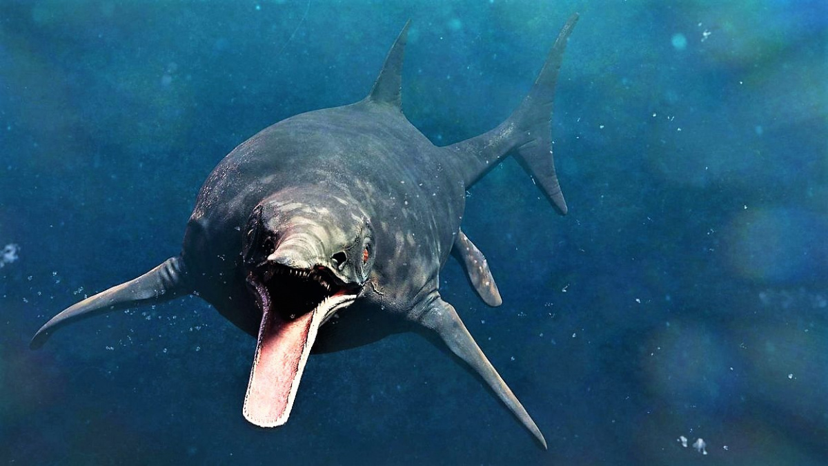 Mořský drak mohl být největším živočichem, který kdy žil na Zemi. Naznačuje to analýza fosilií