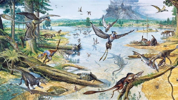 Napůl dinosaurus, napůl pták. Nalezen důležitý článek fascinující evoluční proměny