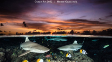 Art Underwater Photo Competition 2022