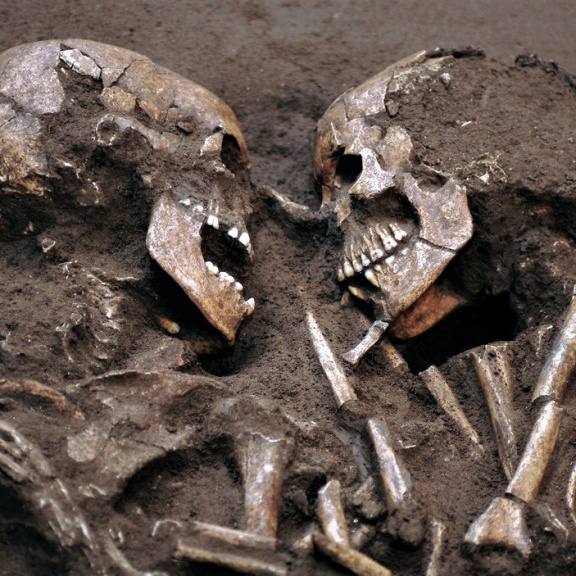 Války mají původ v zemědělství. Ukázal to výzkum koster