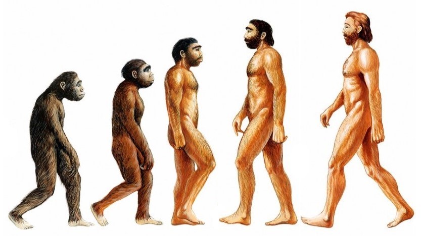 Evoluce někdy kráčí pozpátku. Její cíl může být jiný, než si myslíte