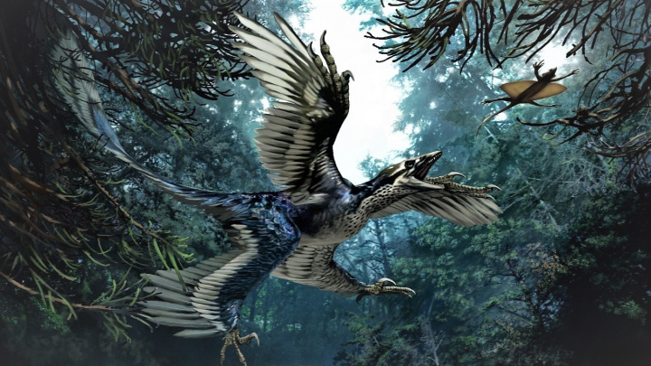 Jak dinosauři vzlétli a stali se ptáky. Vědci nalezli chybějící článek evoluce