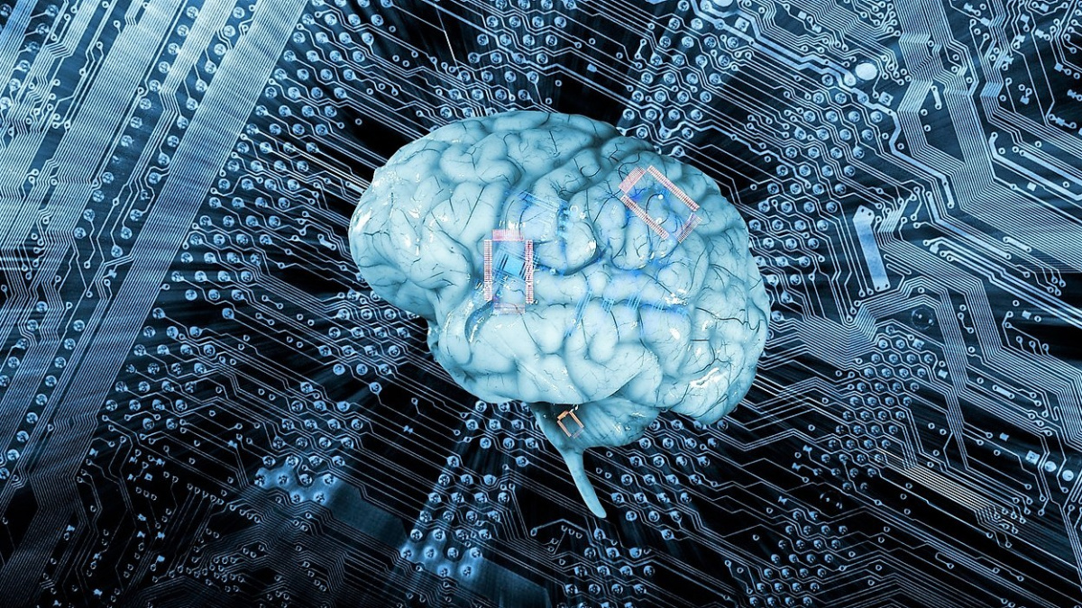 Příští počítače mohou pohánět lidské mozkové buňky