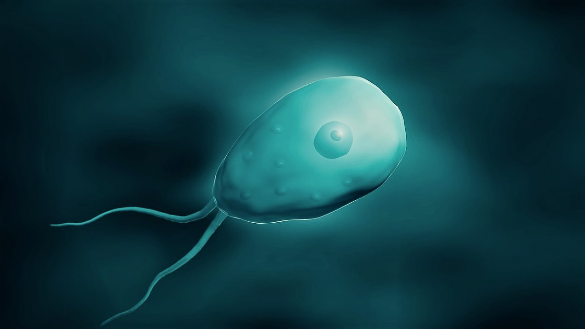 Nalezena zbraň proti žroutovi mozku, který v Česku zabil dvě desítky lidí