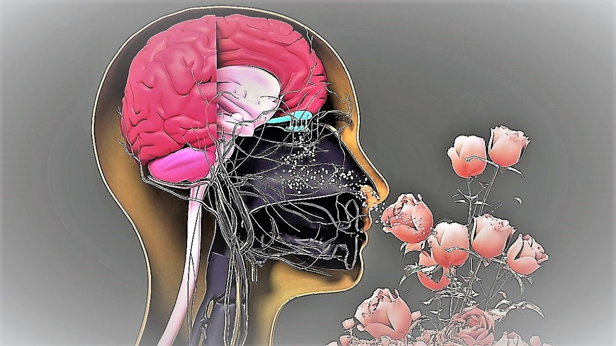Zhoršuje se vám čich? Pozor, může jít o časný příznak vážné nemoci