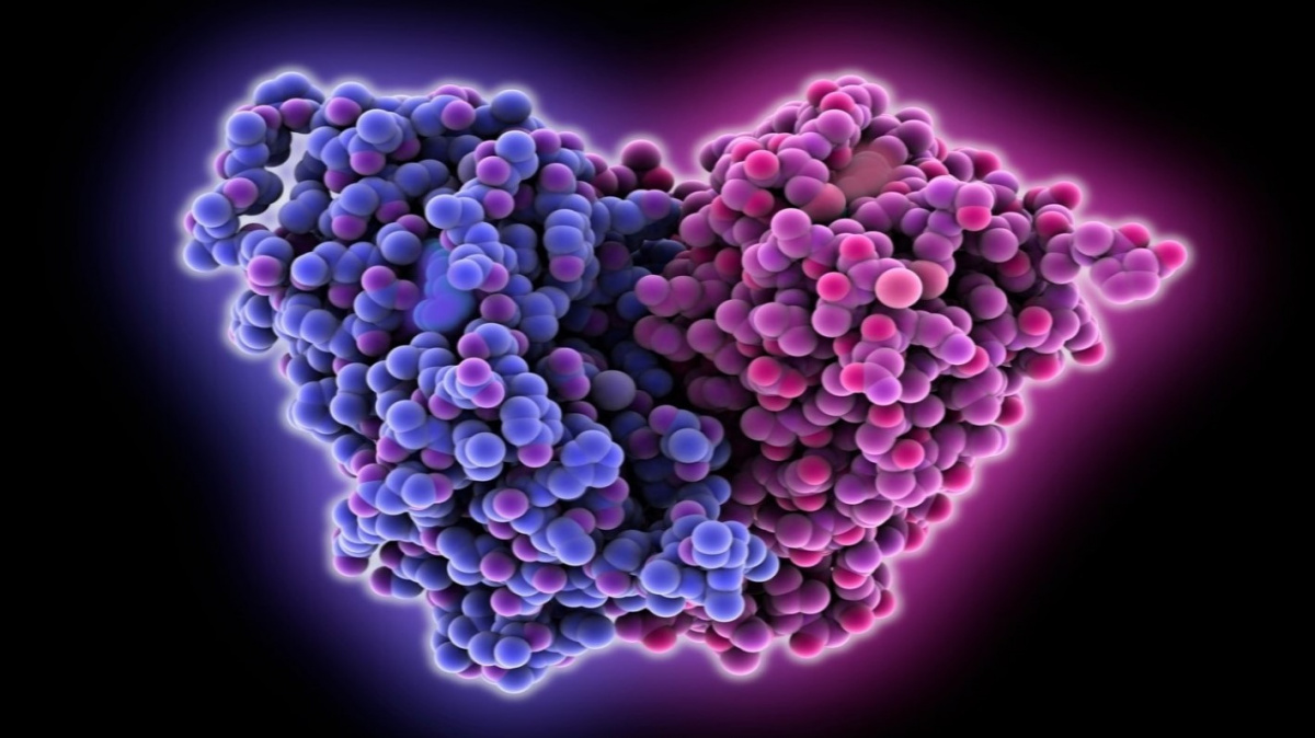 Mikroplasty mohou poškozovat naše pohlavní hormony