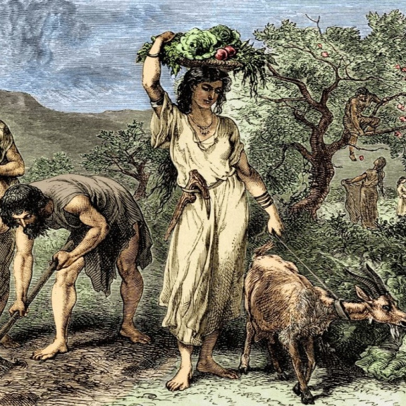 Civilizace vznikla z obilí, daní a byrokracie