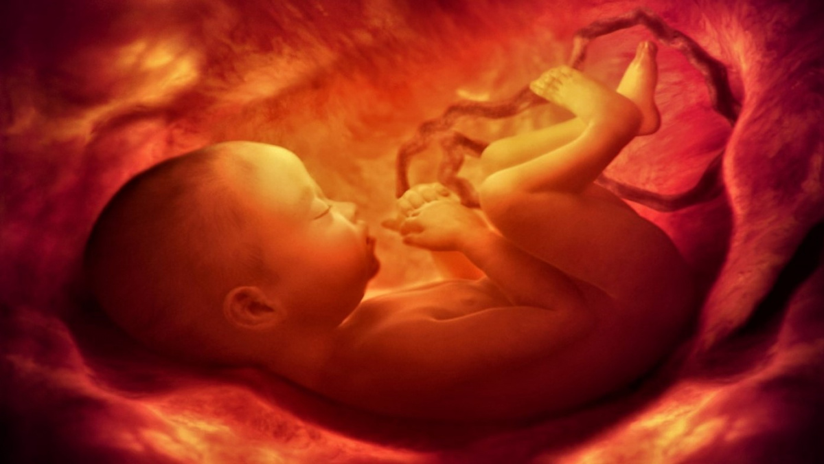 Chirurgové poprvé operovali mozek lidského plodu v děloze