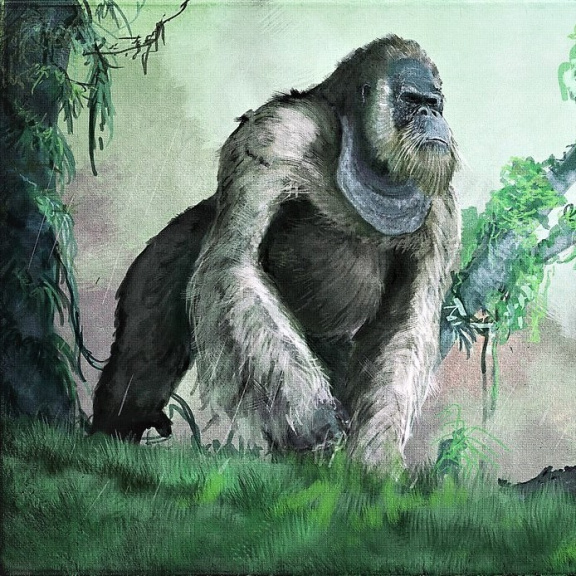 King Kong není jen filmová fikce. Gigantická opice žila po boku lidí