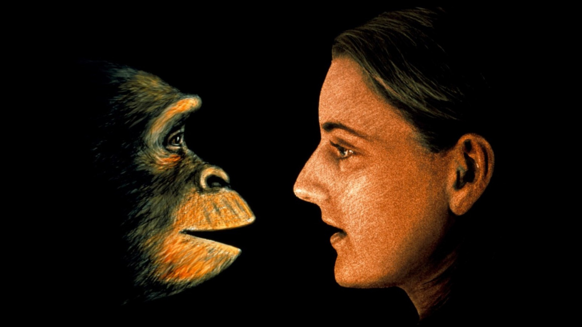 Náhodná událost před milionem let navěky změnila lidský mozek