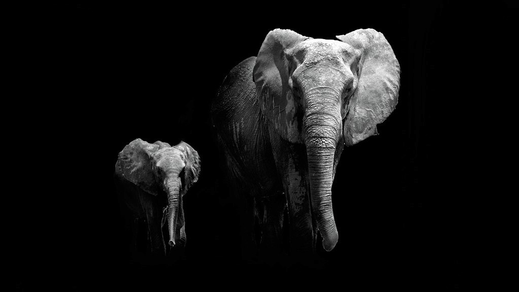 Savci, kteří jsou větší než lidé, se musí zmenšit. Jinak nepřežijí