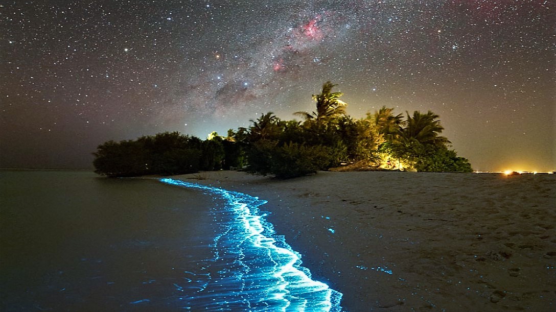 Mikroskopický plankton přesvítil Mléčnou dráhu. Unikátní snímek, který zaujal NASA