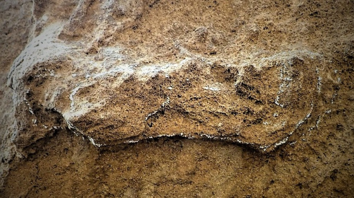 Odhaleny nejstarší dochované stopy Homo sapiens. Pocházejí z doby před 153 000 lety