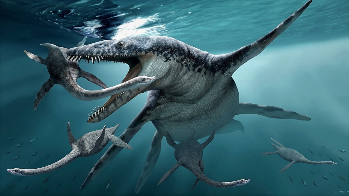 Moravu omývalo prehistorické moře. Proč zmizelo?