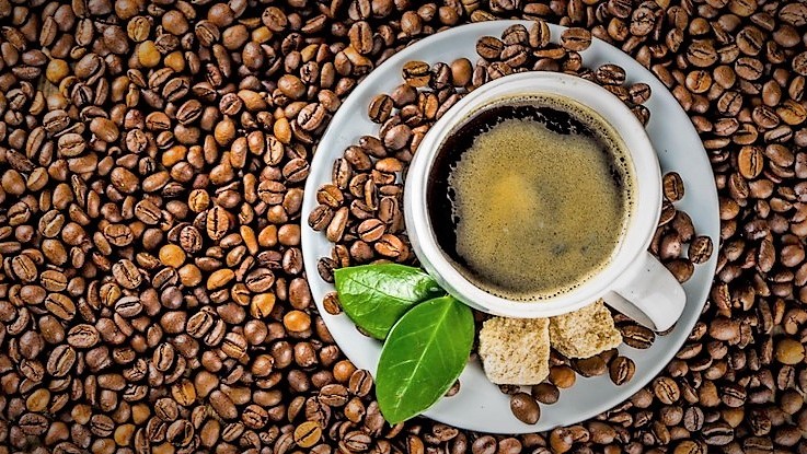 Opravdu vás ranní káva nakopne? Výzkum naznačuje, že to může být placebo